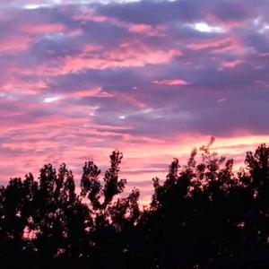 日本添你下水好多好多下水
